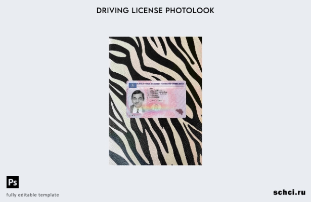 цифровая загрузка версии DL для Бельгии, шаблон Photolook FRONT